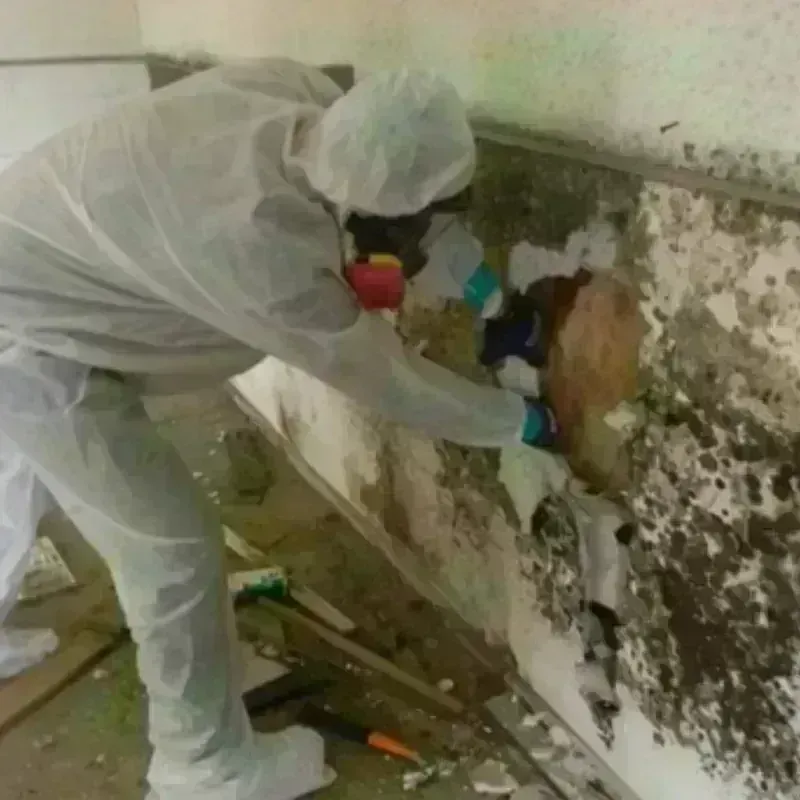 Best Mold Remediation and Removal Service in Tulsa County, OK